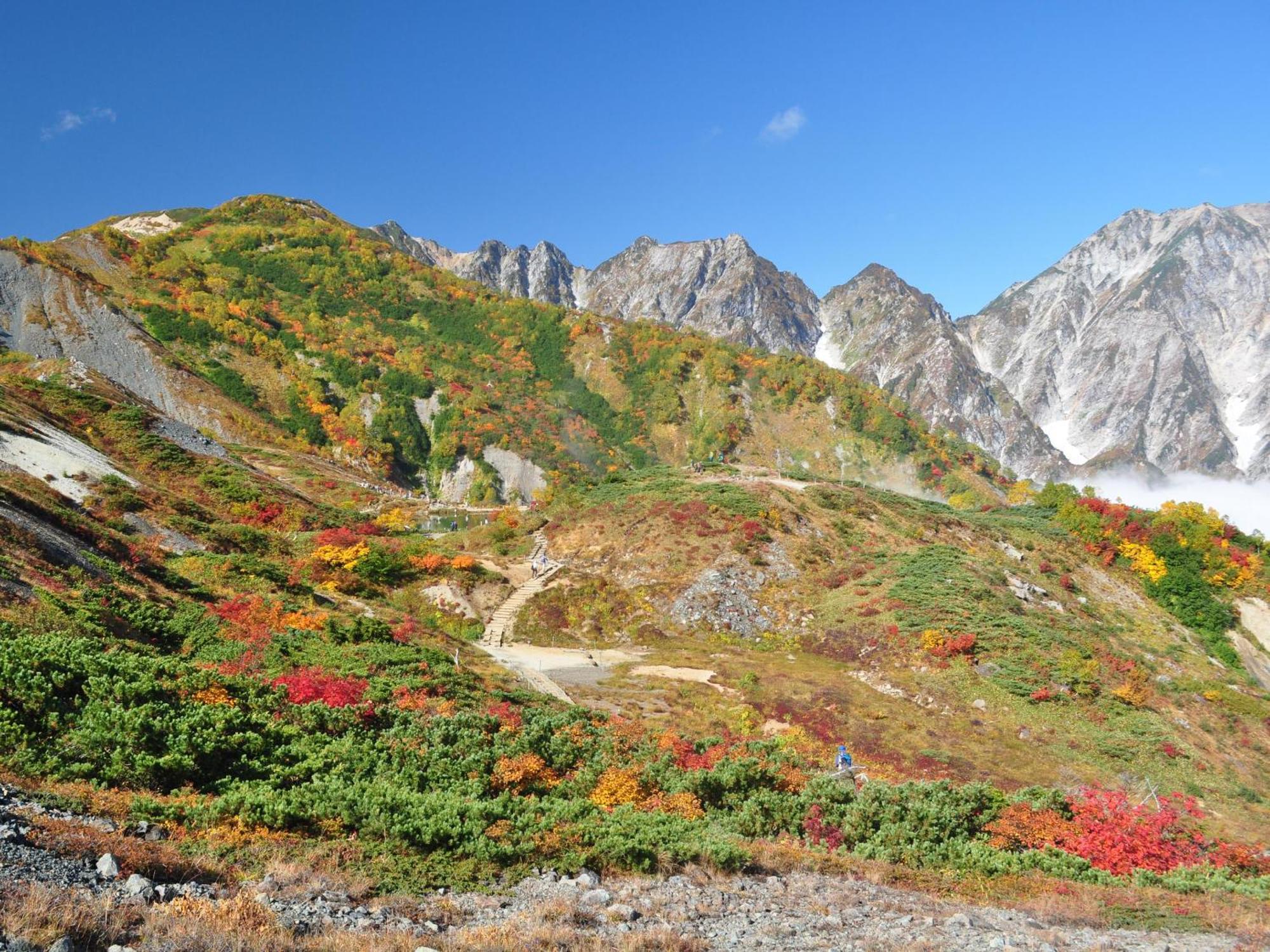 Kudo'S Lodge Hakuba Zewnętrze zdjęcie
