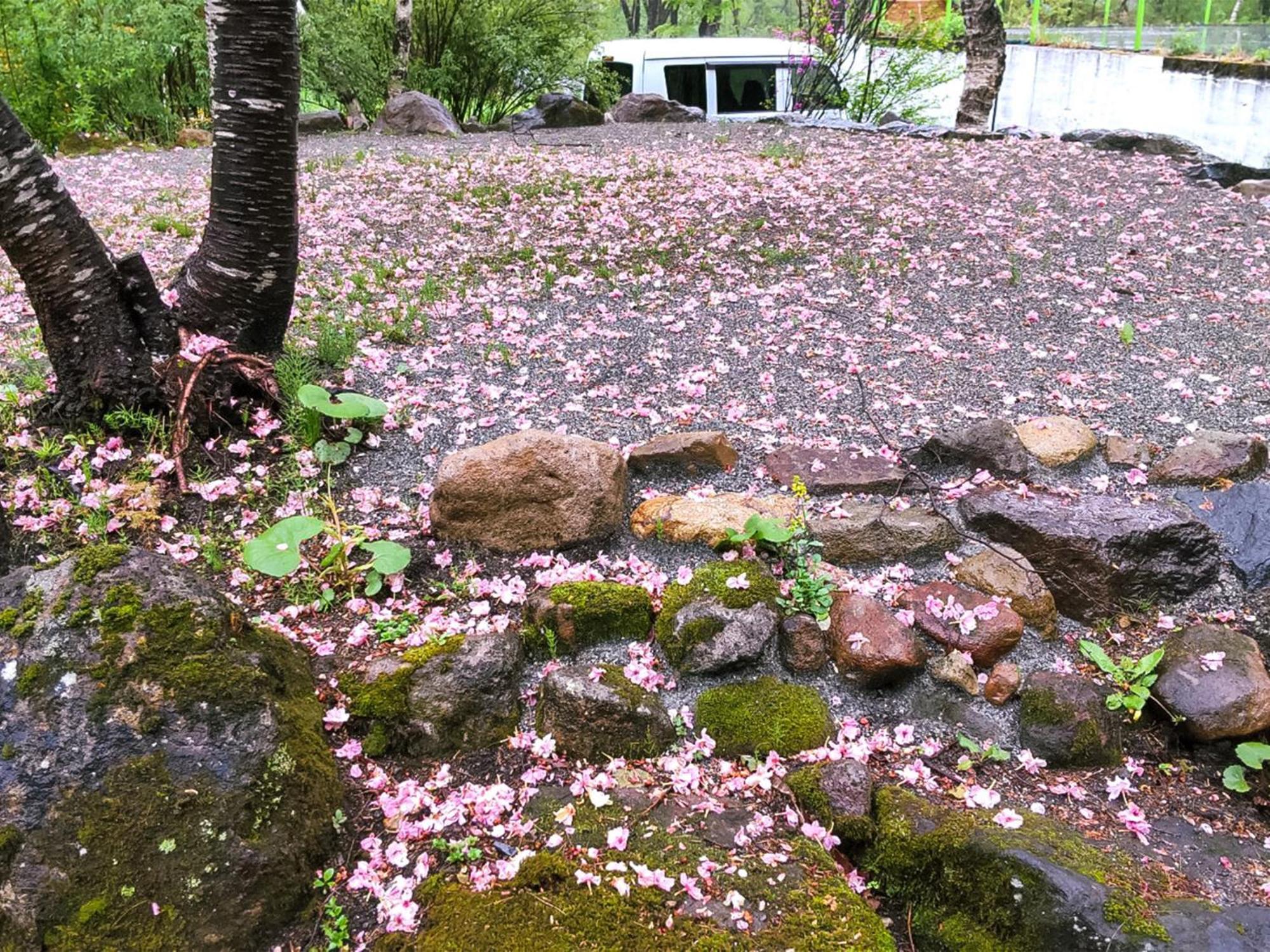 Kudo'S Lodge Hakuba Zewnętrze zdjęcie