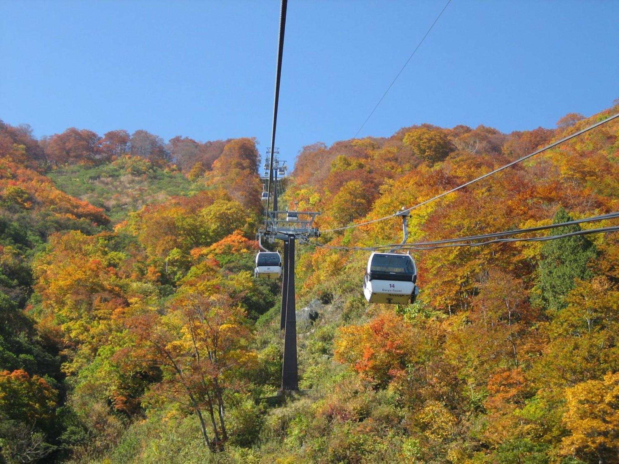 Kudo'S Lodge Hakuba Zewnętrze zdjęcie